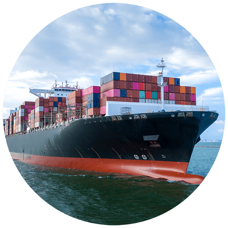 Export & International Supply