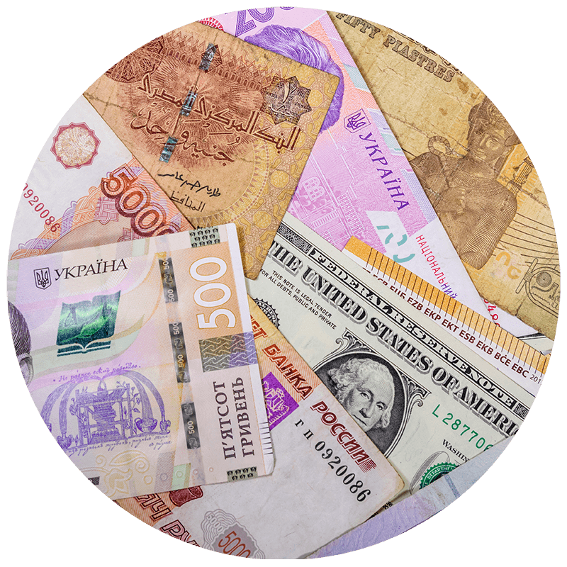 Export & International Supply