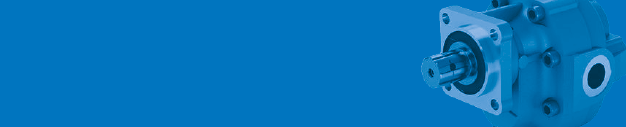 Interpump